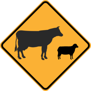 W5-38 Stock (symbolic)